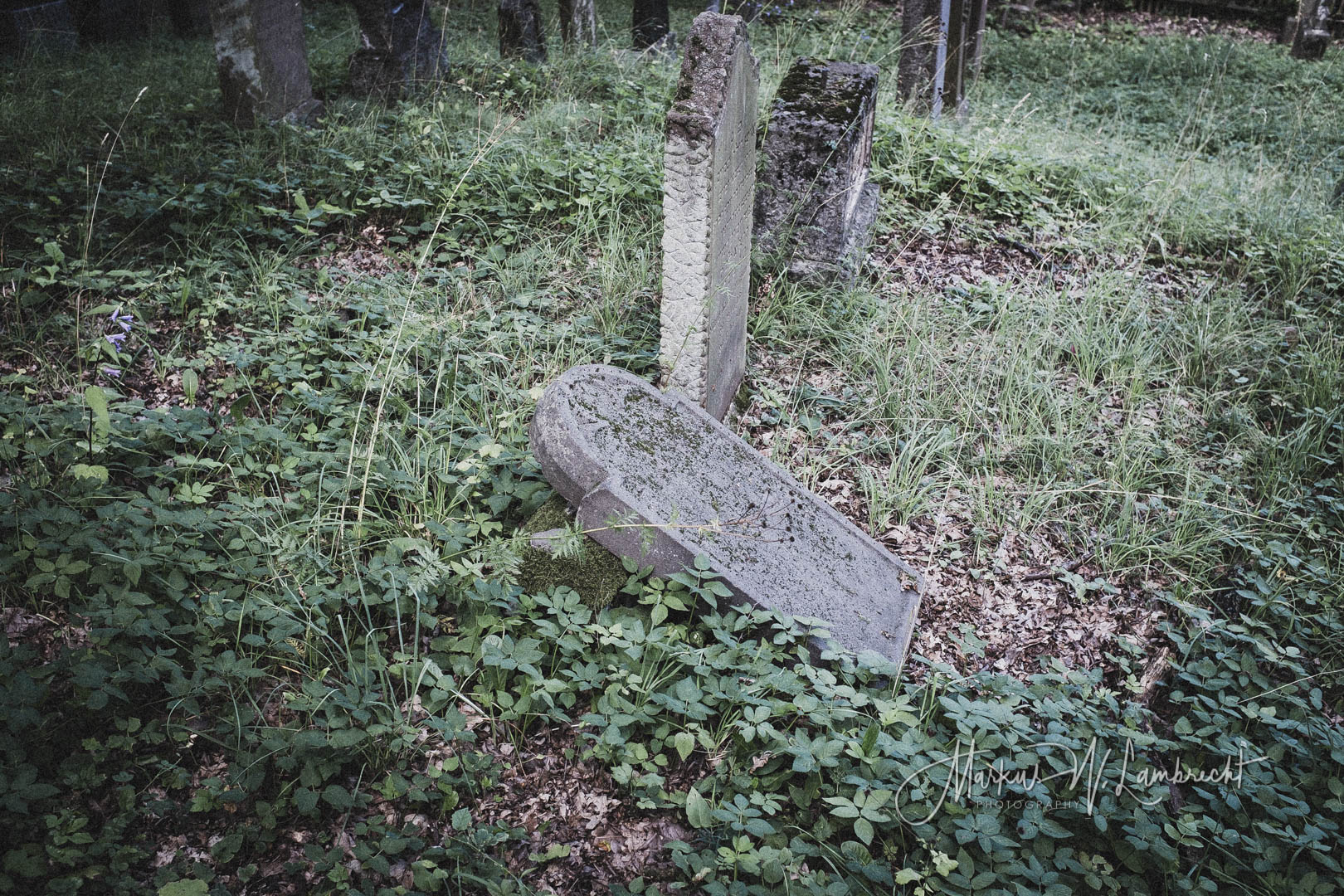 Lich, Jüdischer Friedhof